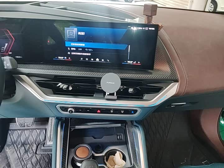 BMW XM, 2025 — фото 9 из 9