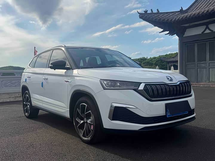 Skoda Kamiq, 2023 — фото 3 из 9