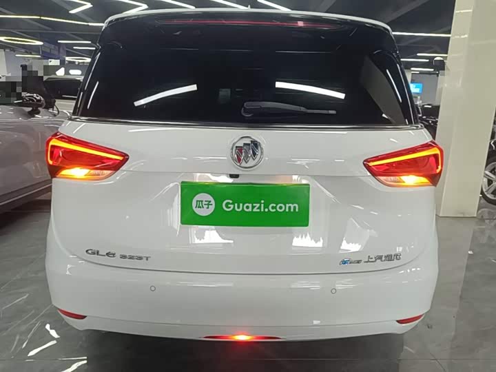 Buick GL6, 2022 — фото 6 из 9