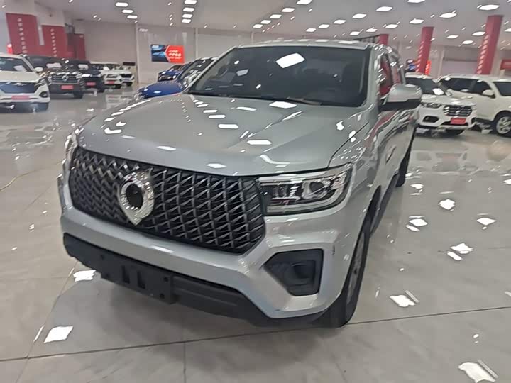 Great Wall Pao, 2024 — купить в Владимире под ключ