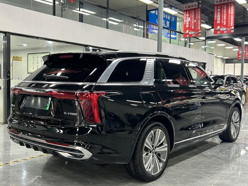 Hongqi E-HS9, 2023 — фото 6 из 12