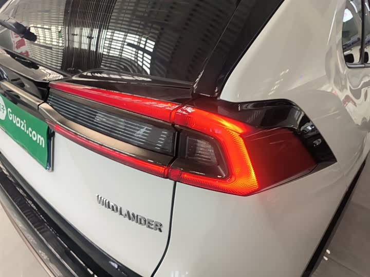 Toyota Wildlander, 2024 — фото 8 из 9