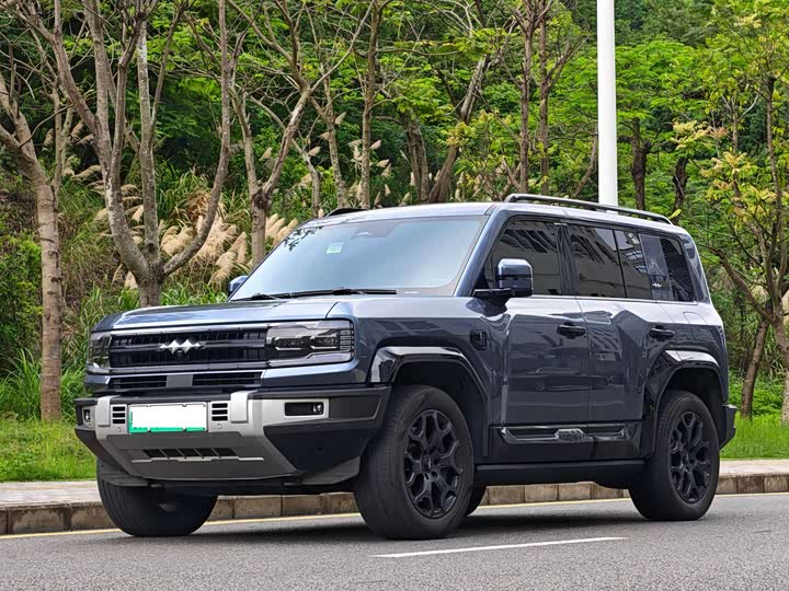 BYD FangChengBao Leopard 5, 2024 — купить в Белгороде под ключ