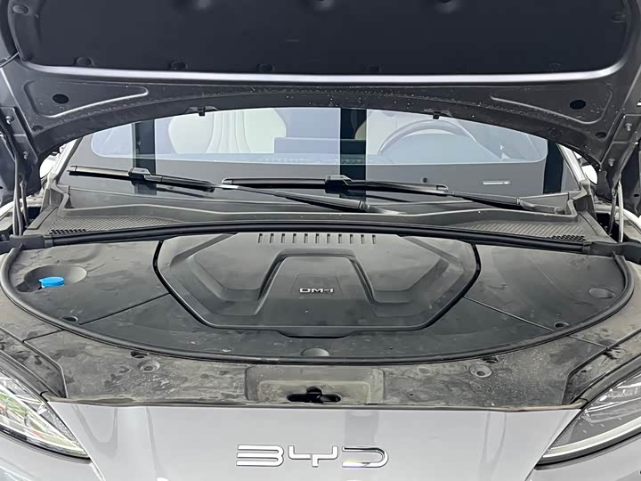 BYD Song Plus Hybrid/EV, 2024 — фото 4 из 9