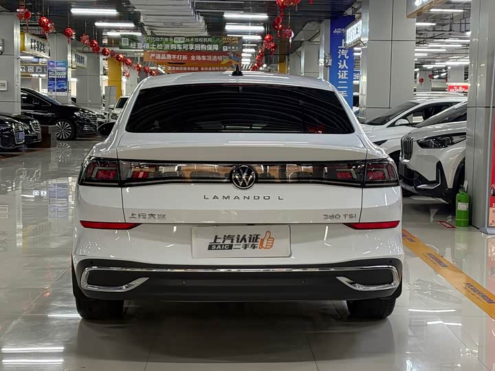 Volkswagen Lamando L, 2023 — фото 7 из 9