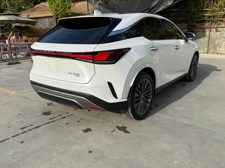 Lexus RX, 2023 — фото 4 из 10