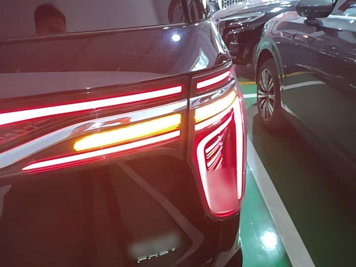 Hongqi HQ9 Hybrid, 2024 — фото 8 из 9