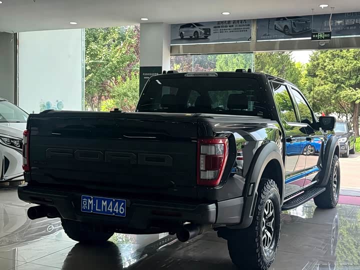 Ford F-150 Raptor, 2023 — фото 9 из 9