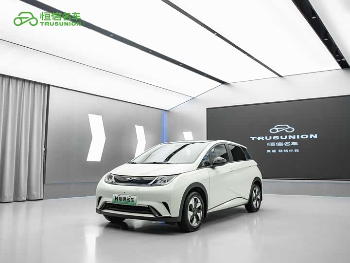 BYD Dolphin, 2024 — купить в Перми под ключ