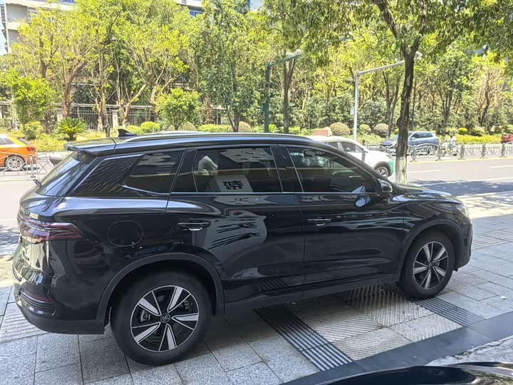 BYD Song Pro Hybrid, 2023 — фото 7 из 9