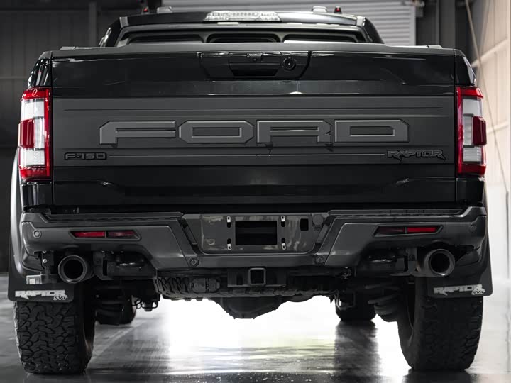 Ford F-150 Raptor, 2023 — фото 8 из 9