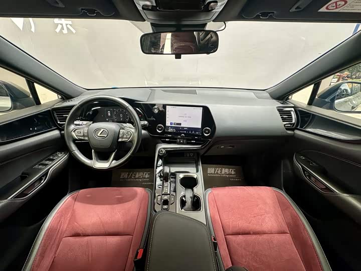 Lexus NX, 2024 — фото 6 из 9