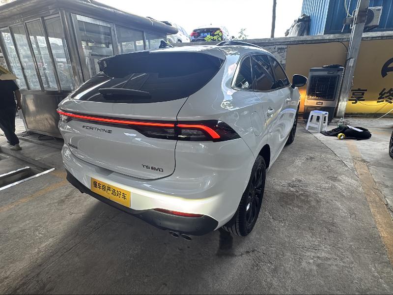 Dongfeng Forthing T5 EVO, 2023 — фото 2 из 12