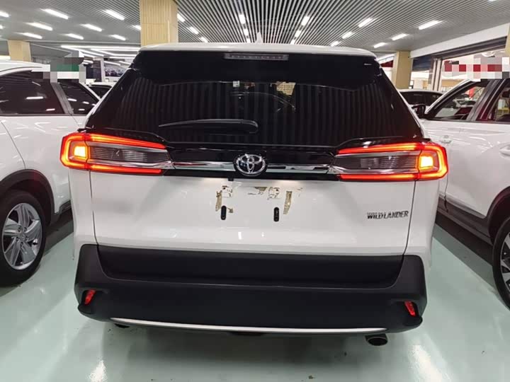 Toyota Wildlander, 2021 — фото 6 из 9