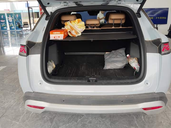 BYD Song L DM-i Hybrid, 2024 — фото 4 из 9