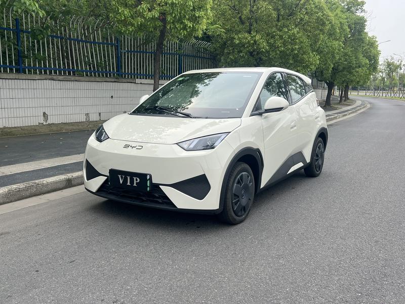 BYD Seagull, 2026 — купить в Тольятти под ключ
