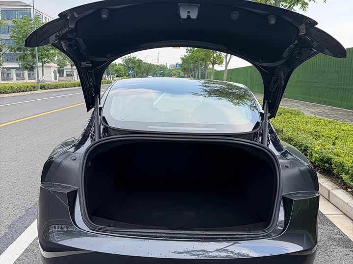 Tesla Model 3, 2025 — фото 7 из 9