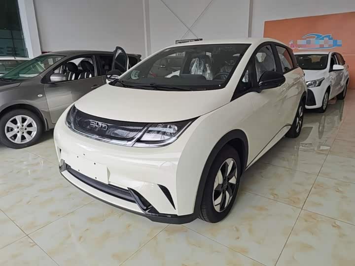 BYD Dolphin, 2026 — купить в Владимире под ключ