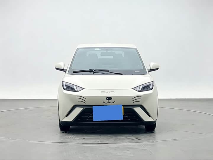 BYD Seagull, 2024 — фото 2 из 9