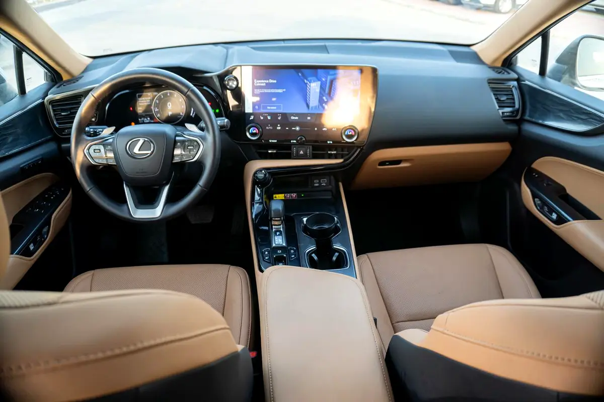 Lexus NX-Series, 2024 — фото 8 из 10