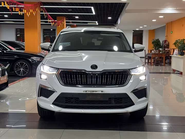 Skoda Kodiaq, 2021 — фото 2 из 9