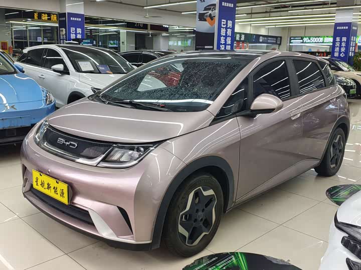 BYD Dolphin, 2022 — купить в Перми под ключ