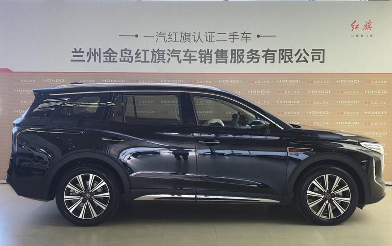 Hongqi HS7 Hybrid, 2025 — фото 5 из 10
