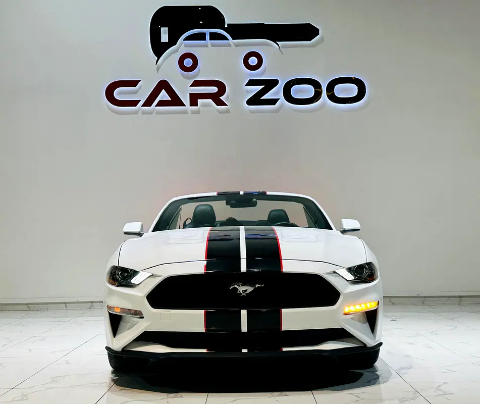 Ford Mustang, 2022 — фото 7 из 10
