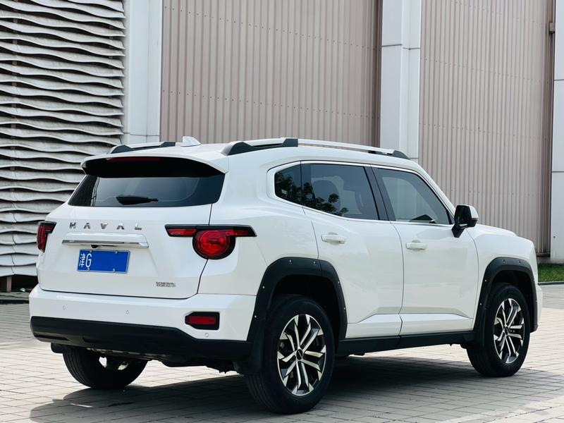 Haval H-Dog, 2024 — фото 6 из 12