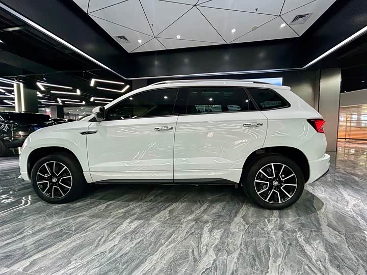 Skoda Karoq, 2024 — фото 8 из 9