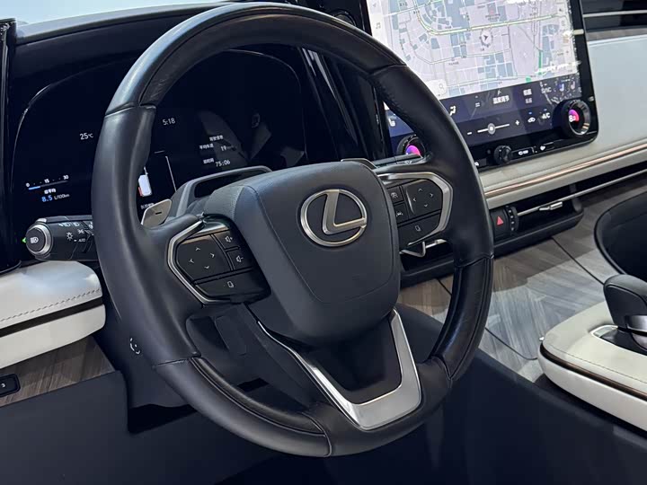 Lexus LM, 2024 — фото 8 из 9