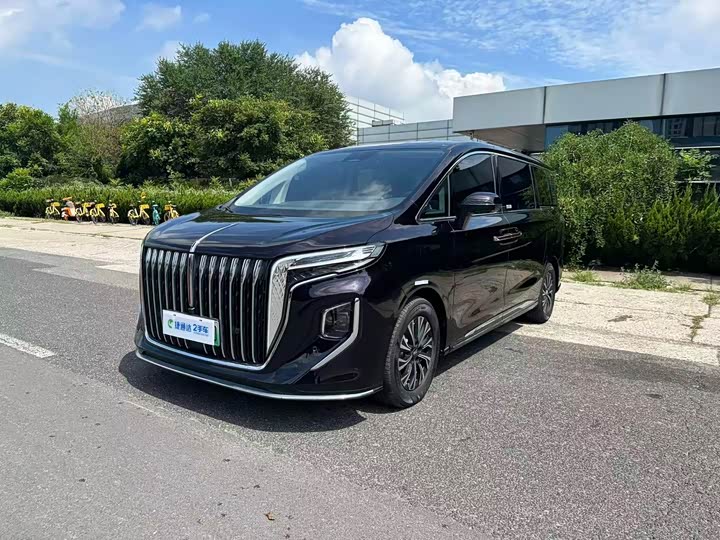 Hongqi HQ9 Hybrid, 2024 — фото 2 из 9