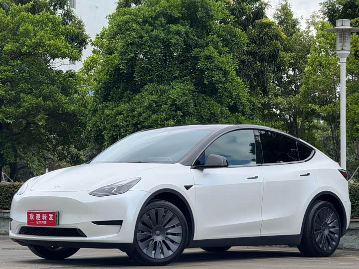 Tesla Model Y, 2023 — купить в Белгороде под ключ