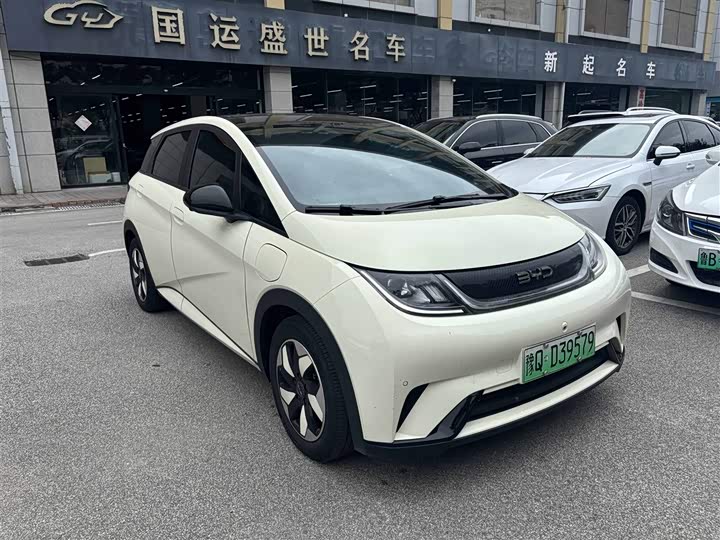 BYD Dolphin, 2024 — фото 3 из 9