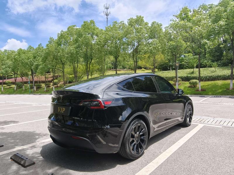 Tesla Model Y, 2023 — фото 6 из 11