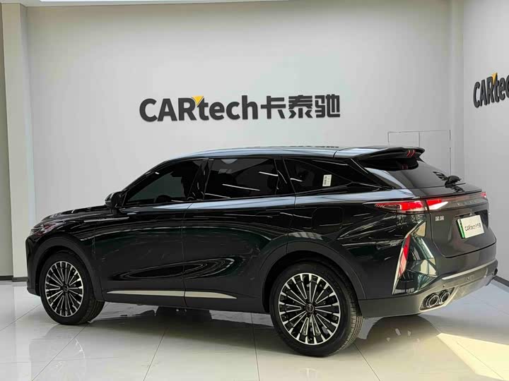Exeed RX C-DM Hybrid, 2024 — фото 8 из 9