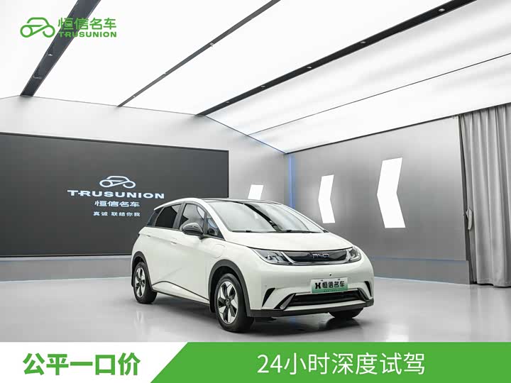 BYD Dolphin, 2024 — фото 3 из 9