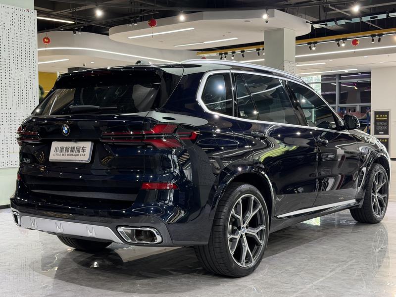 BMW X5, 2024 — фото 6 из 12