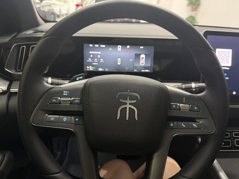 BYD Song Pro Hybrid, 2024 — фото 9 из 12