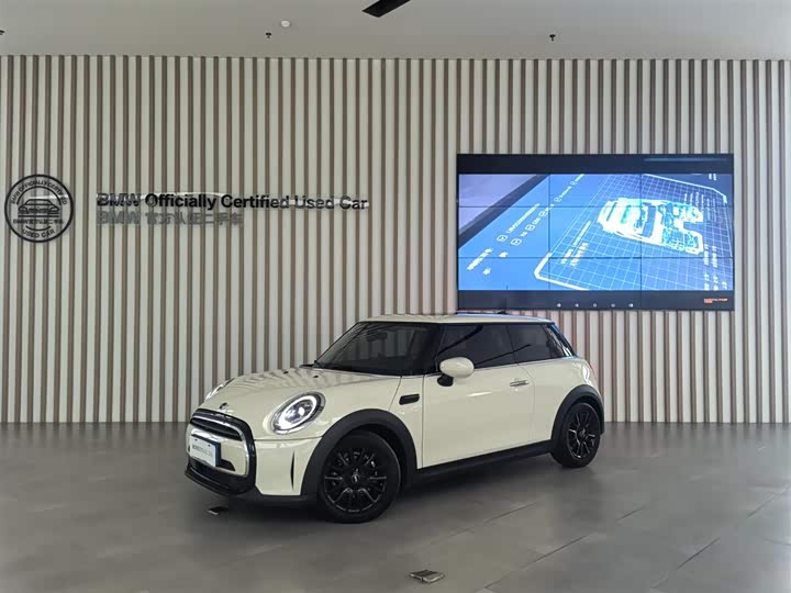 Mini Mini, 2022 — купить в Ульяновске под ключ