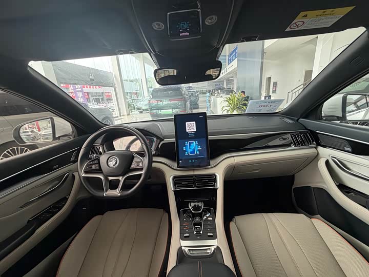 BYD Song Plus Hybrid/EV, 2022 — фото 6 из 9