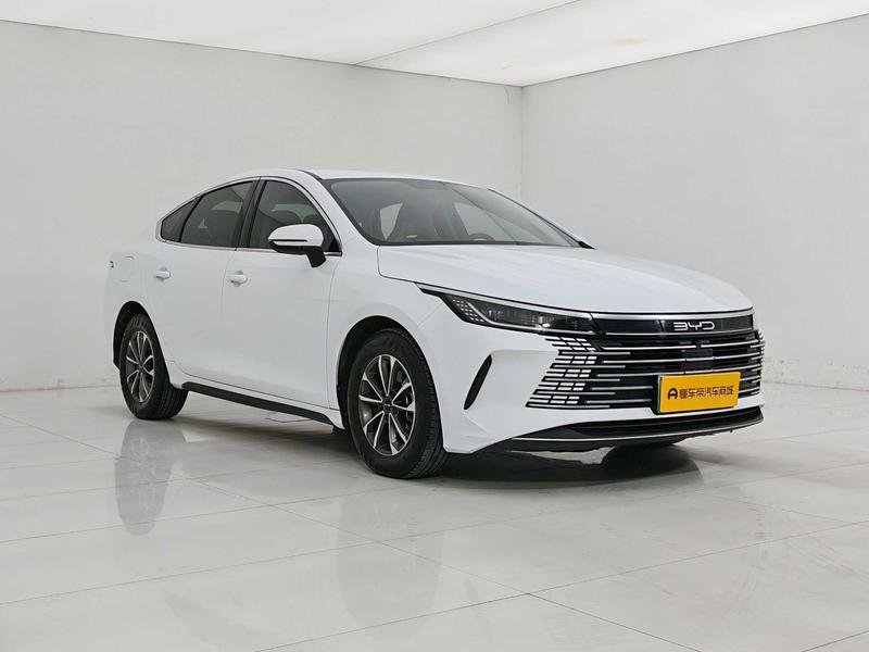 BYD Destroyer 05, 2024 — фото 3 из 12
