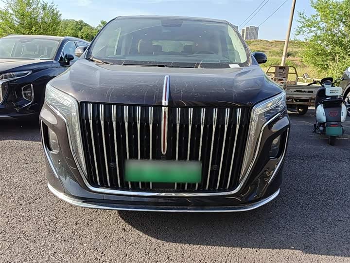 Hongqi HQ9 Hybrid, 2024 — фото 3 из 9