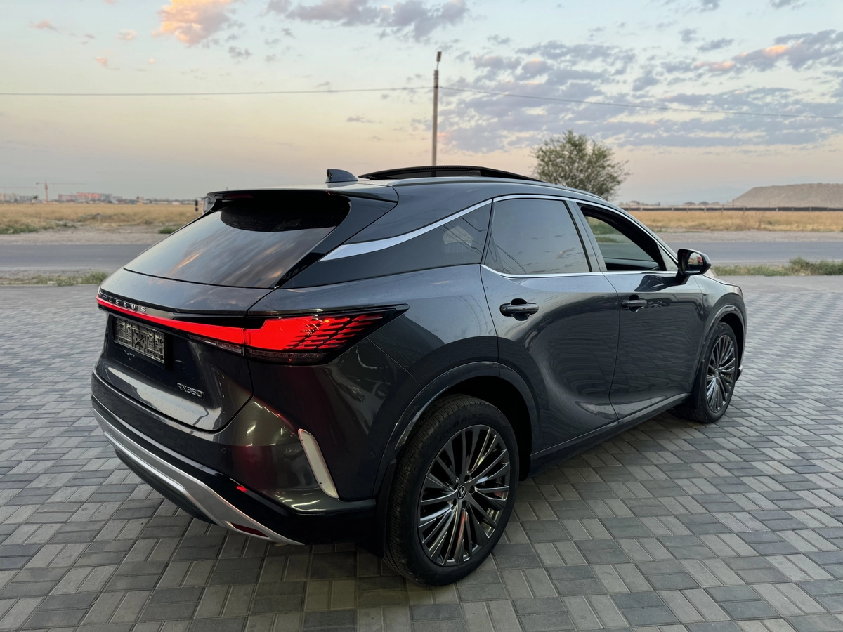 Lexus RX, 2024 — фото 9 из 9