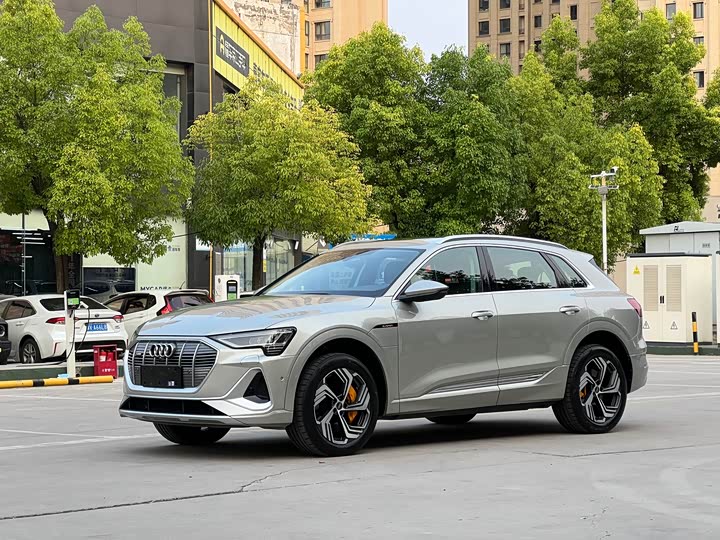 Audi e-tron, 2022 — купить в Ижевске под ключ
