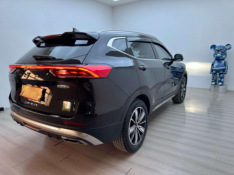 Haval H6, 2023 — фото 6 из 12