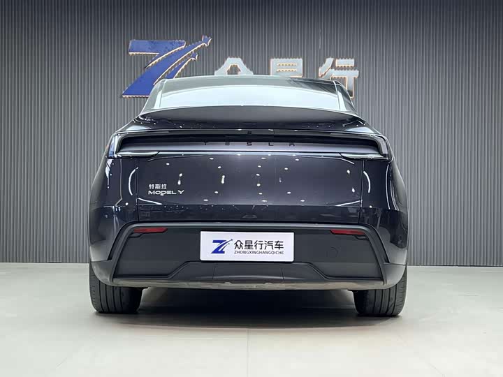 Tesla Model Y, 2024 — фото 4 из 9