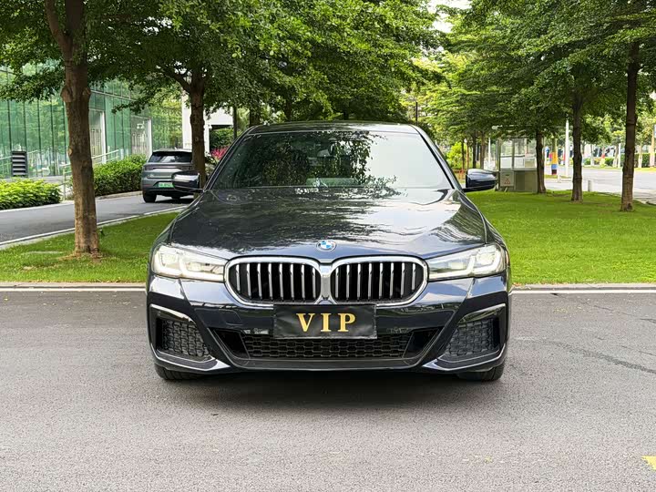 BMW 5 Series, 2022 — фото 2 из 9