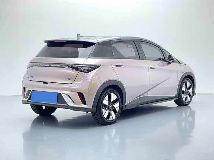 BYD Dolphin, 2021 — фото 6 из 9