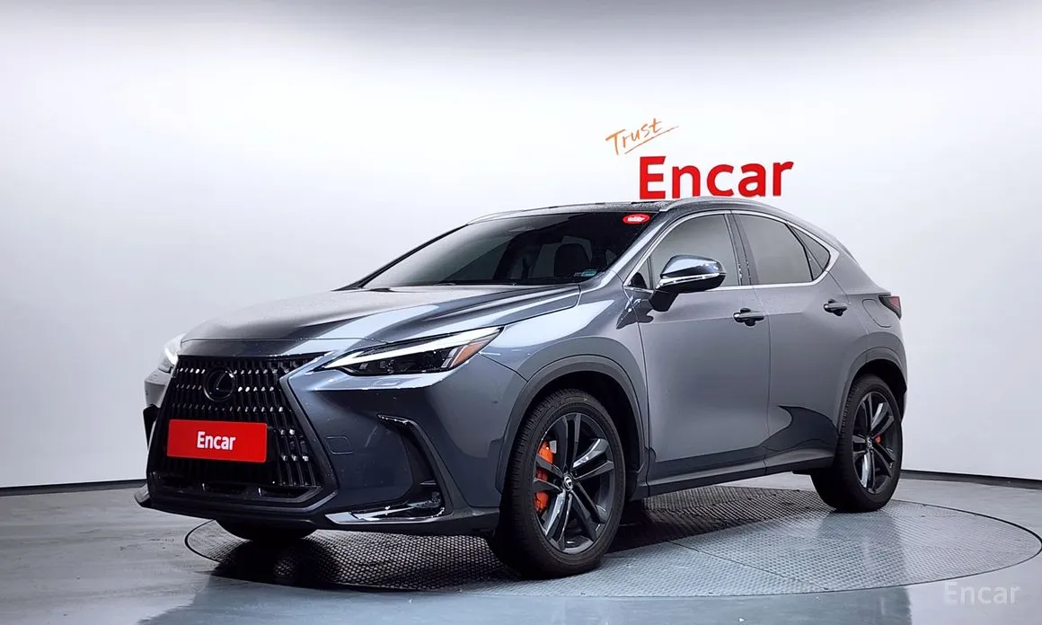 Lexus NX, 2023 — купить в Чебоксарах под ключ